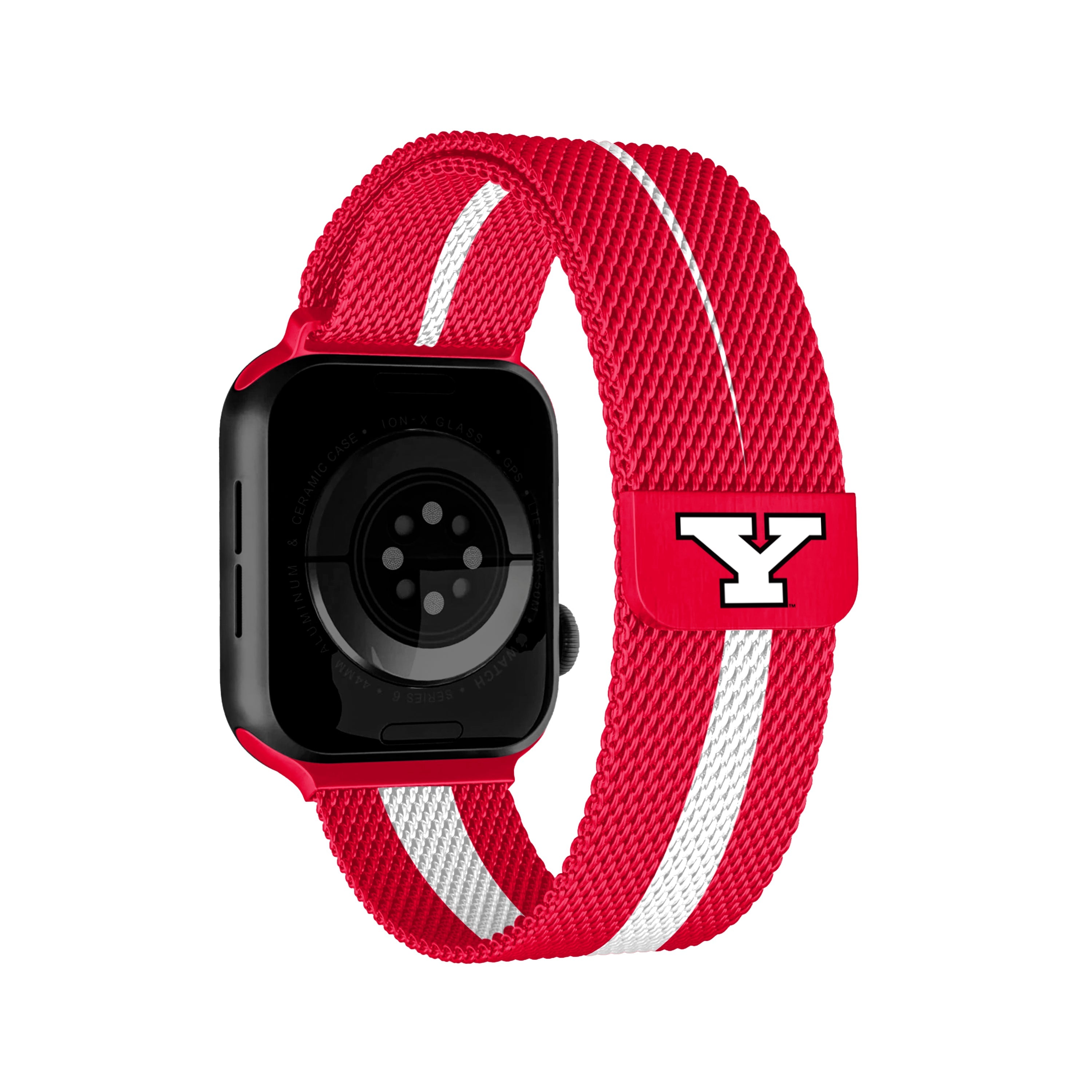 NCAA Striped Metallic Watch Band (42mm)