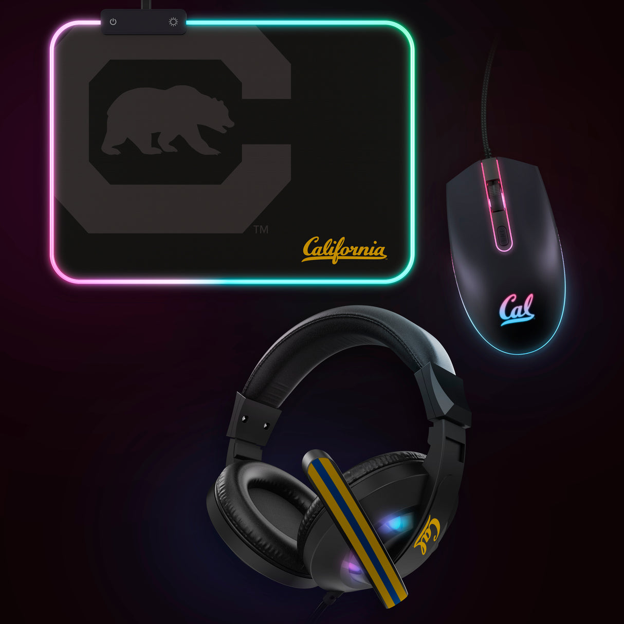 Cal Golden Bears NCAA Gridiron Battle Box *Limited Edition*