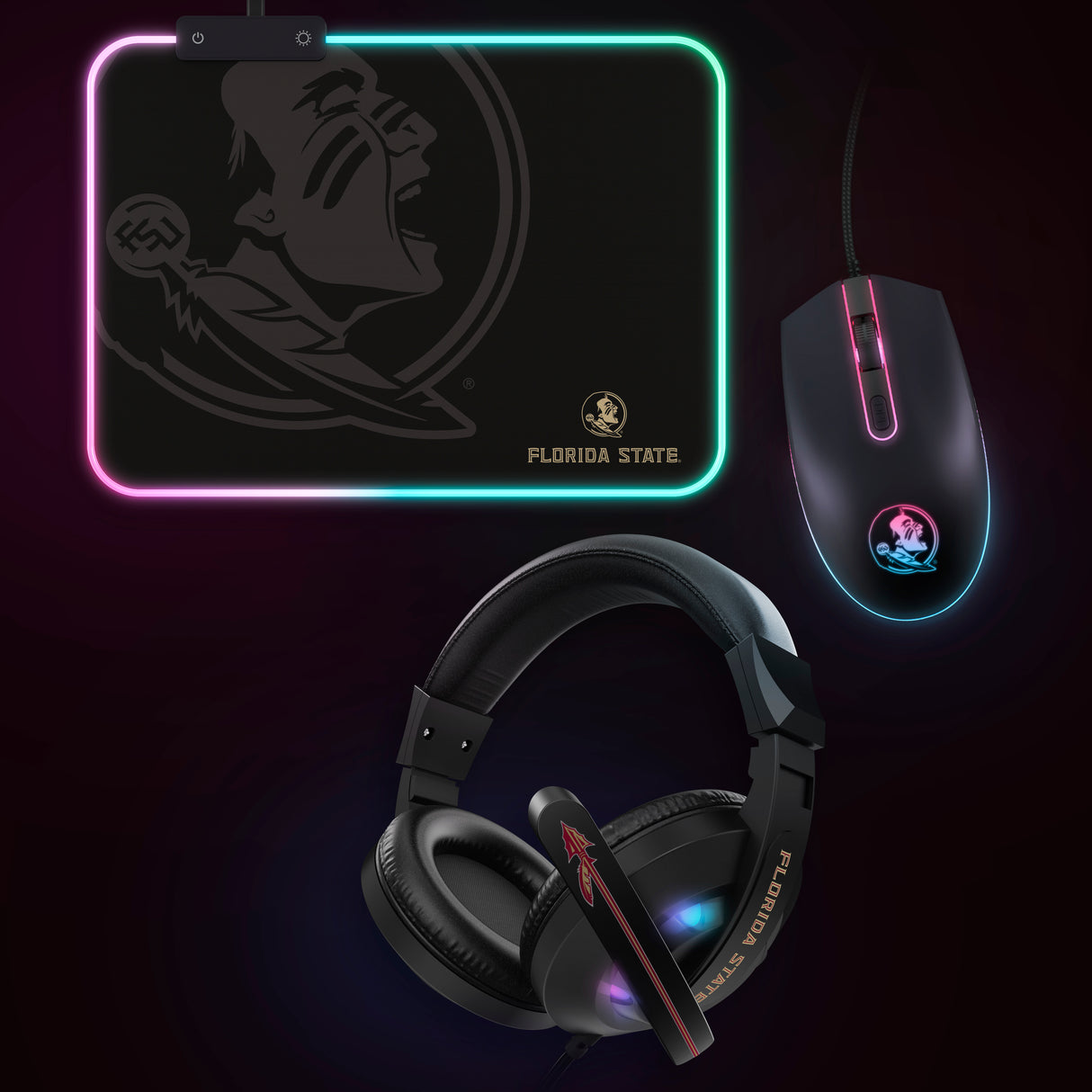 Florida State Seminoles NCAA Gridiron Battle Box *Limited Edition*