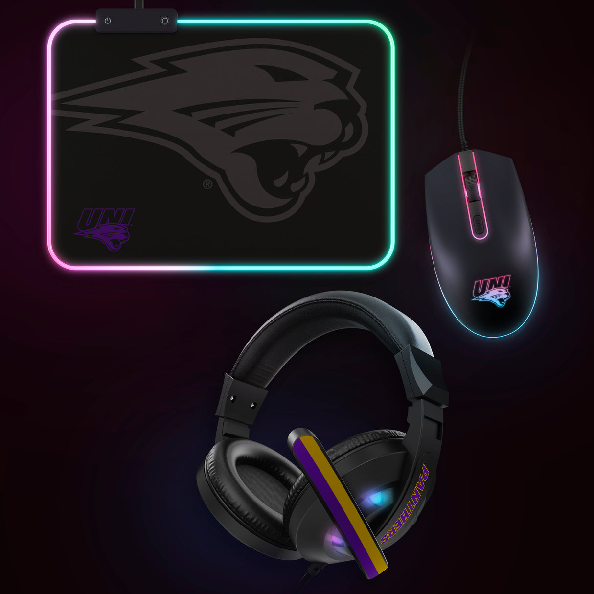 Northern Iowa Panthers NCAA Gridiron Battle Box *Limited Edition*