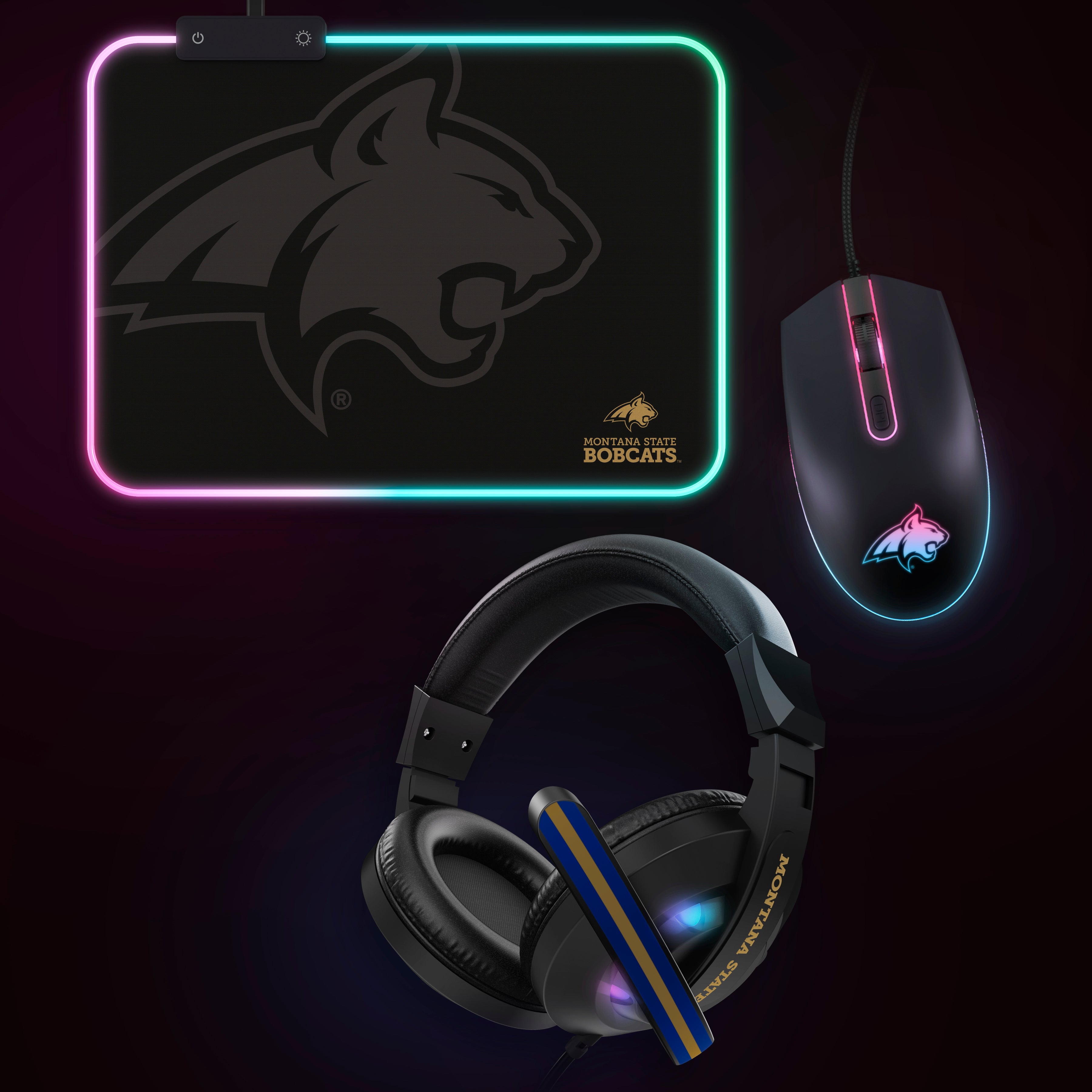 NCAA Gridiron Battle Box *Limited Edition*