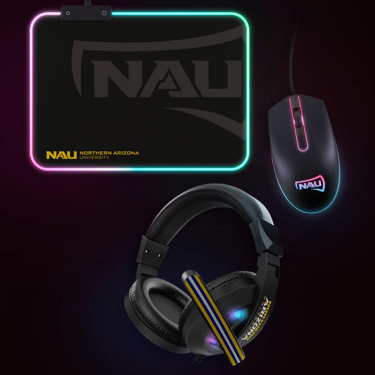 NCAA Gridiron Battle Box *Limited Edition*