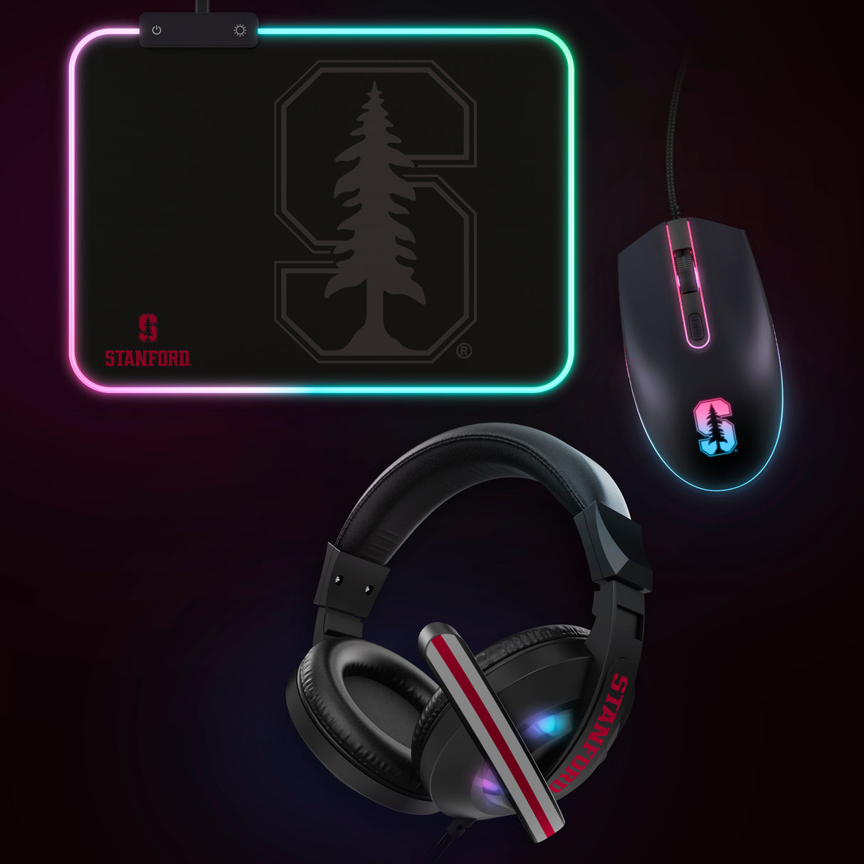 Stanford University NCAA Gridiron Battle Box *Limited Edition*