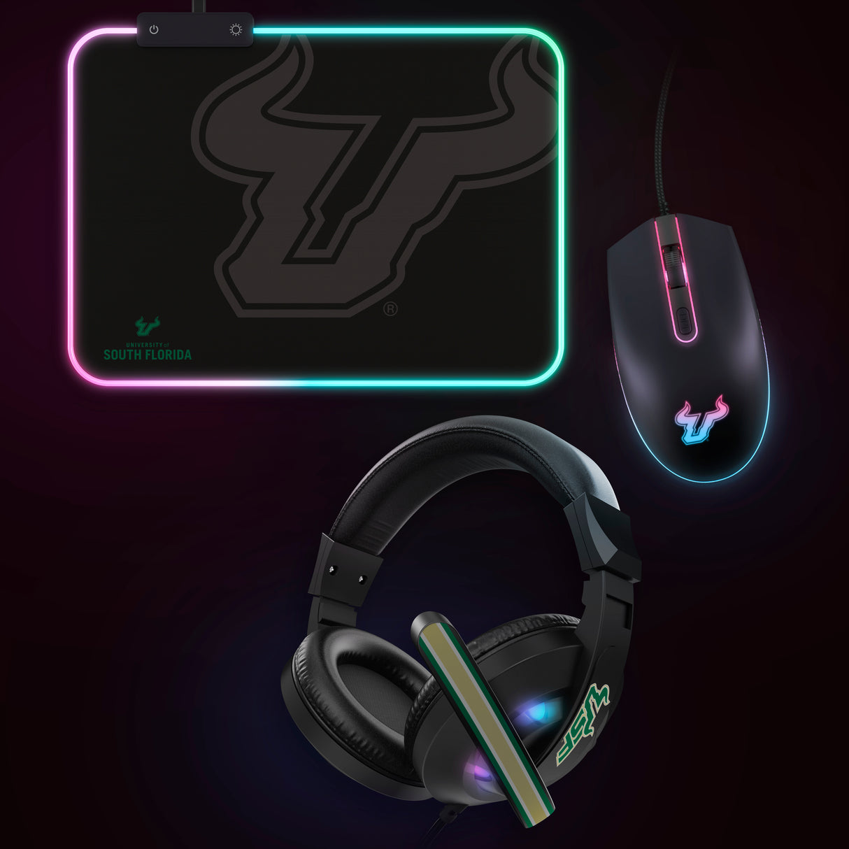 NCAA Gridiron Battle Box *Limited Edition*