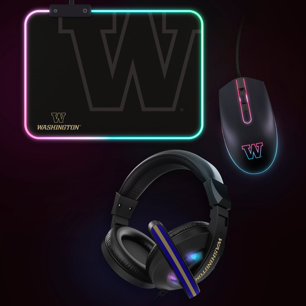 NCAA Gridiron Battle Box *Limited Edition*