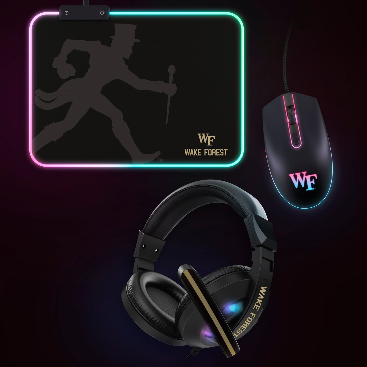 NCAA Gridiron Battle Box *Limited Edition*