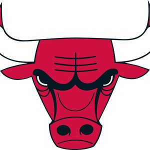 Chicago Bulls