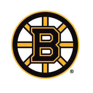 Boston Bruins
