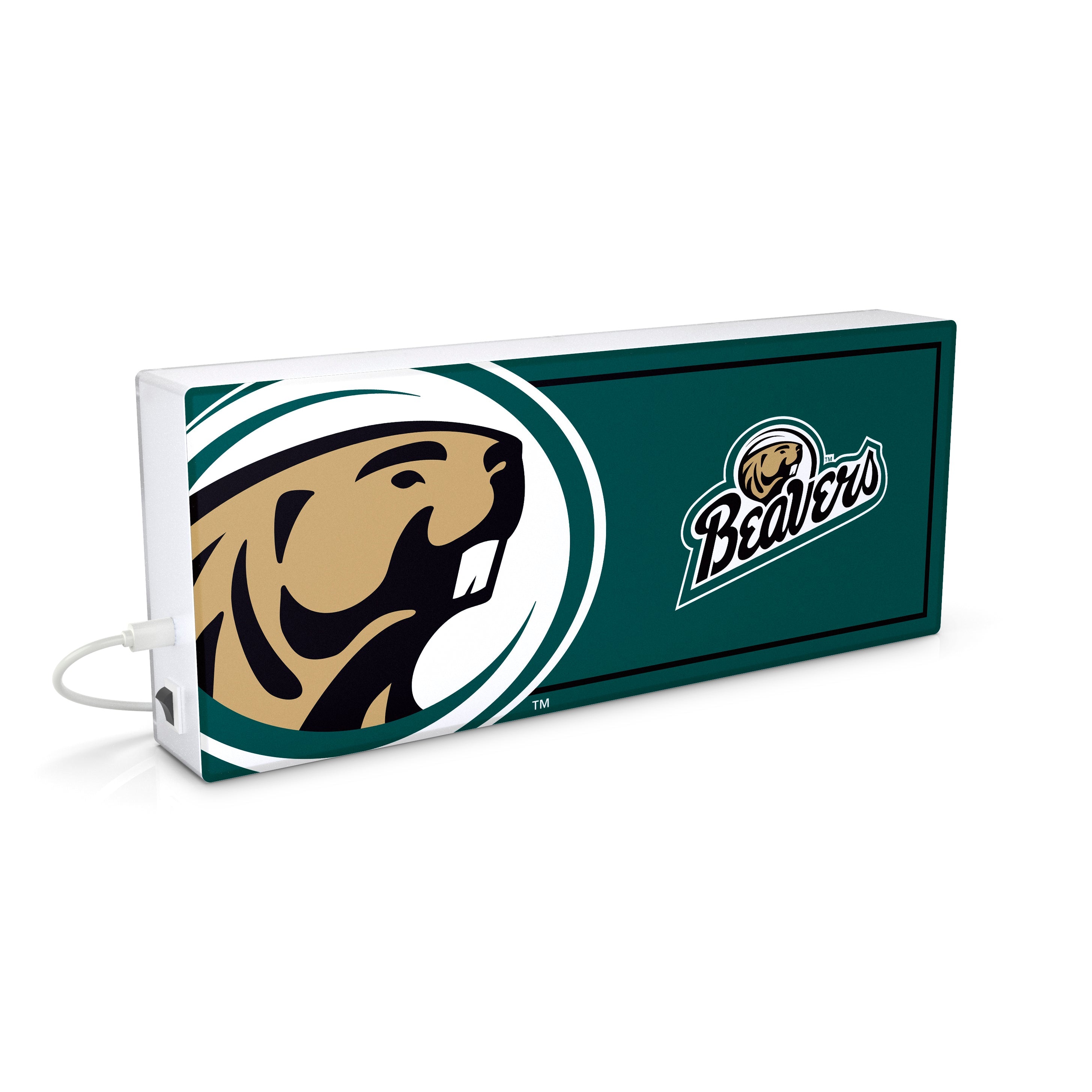 Bemidji State University NCAA LED Ambience Light Box