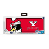 Youngstown State University NCAA LED Ambience Light Box