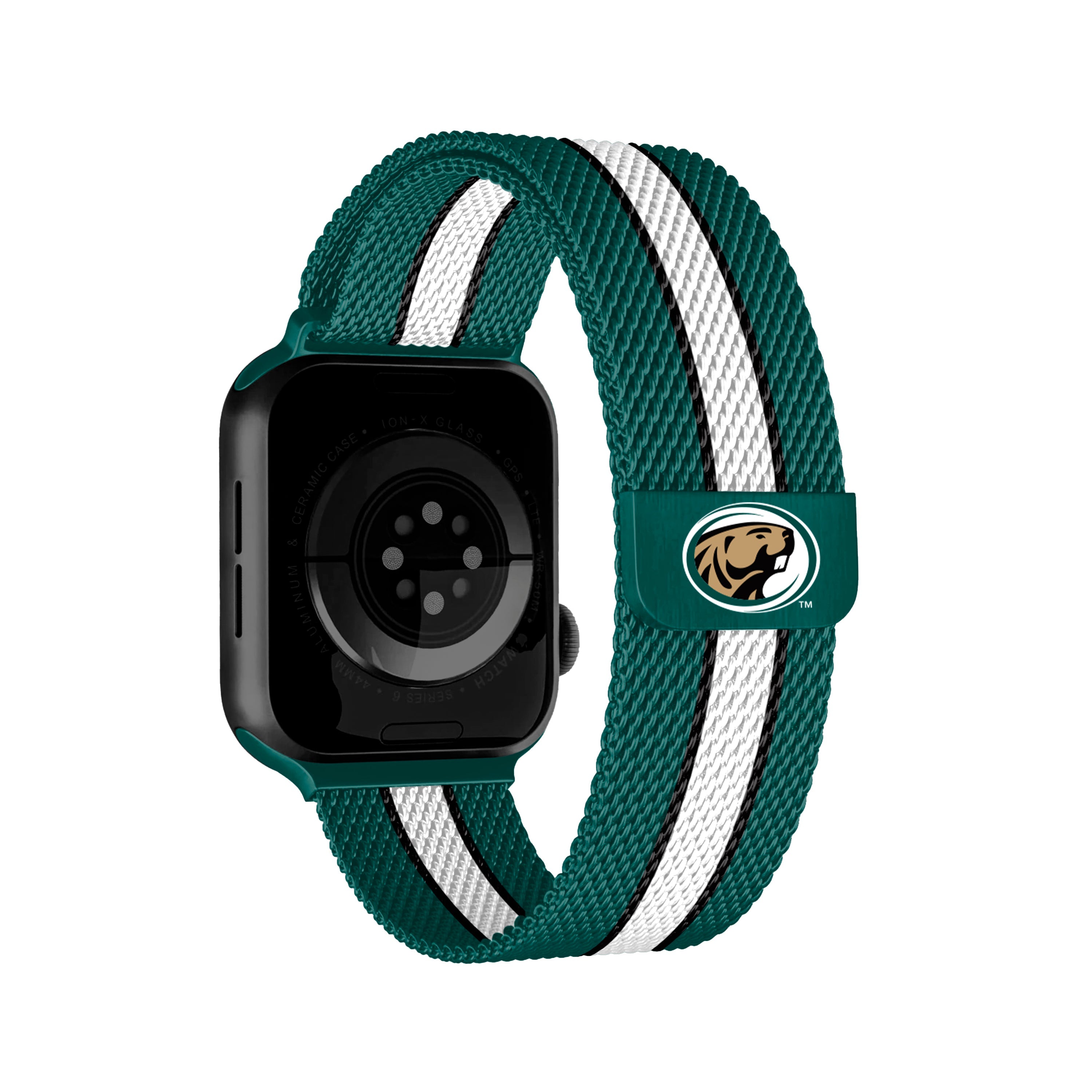 NCAA Striped Metallic Watch Band (38mm)