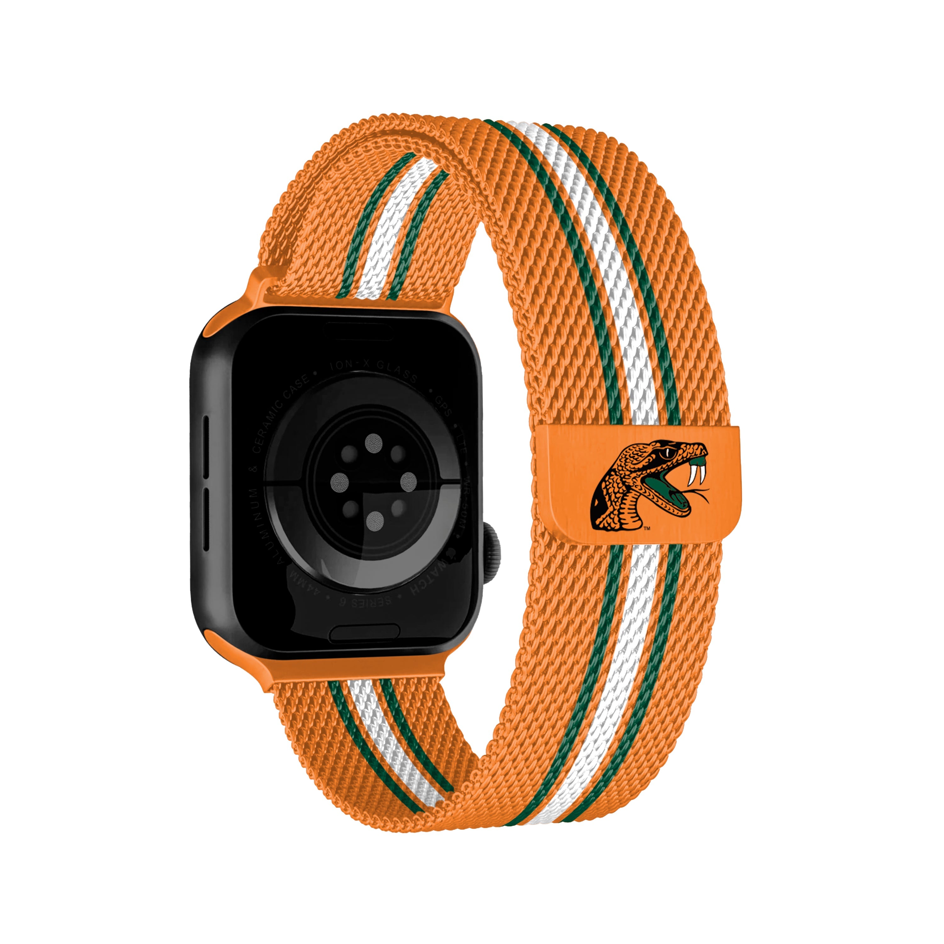 Florida A&M NCAA Striped Metallic Watch Band (38mm)