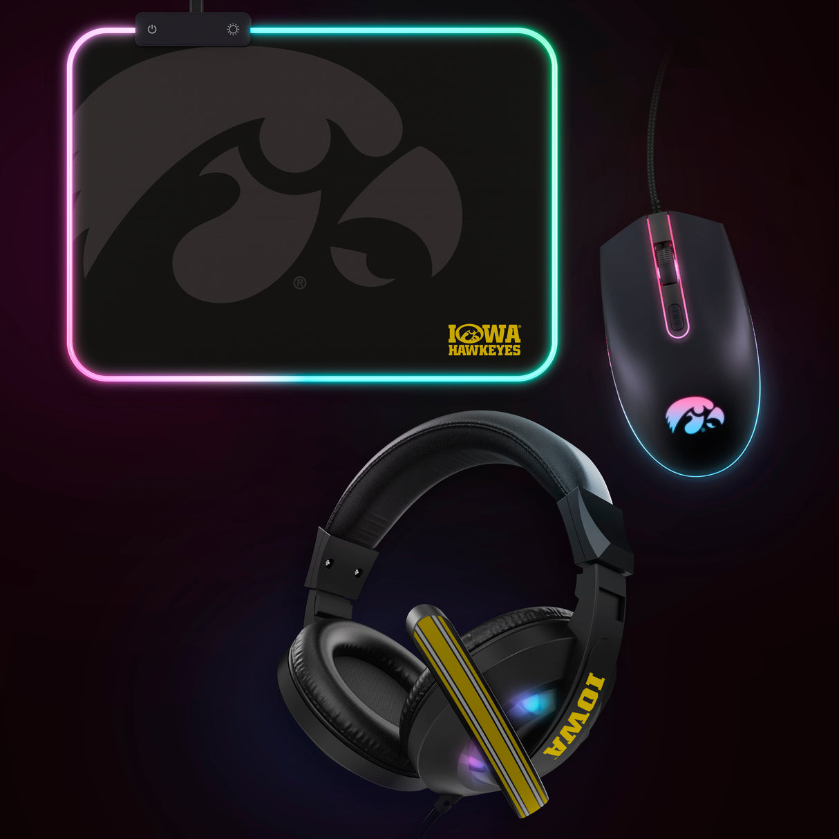 NCAA Gridiron Battle Box  *Limited Edition*