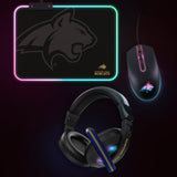 NCAA Gridiron Battle Box  *Limited Edition*