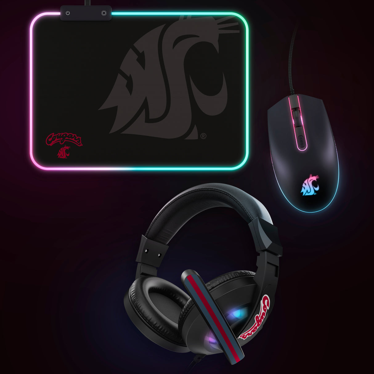 NCAA Gridiron Battle Box  *Limited Edition*