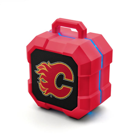 Calgary Flames